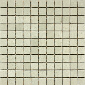1x1 Seagrass Honed Limestone Mosaic